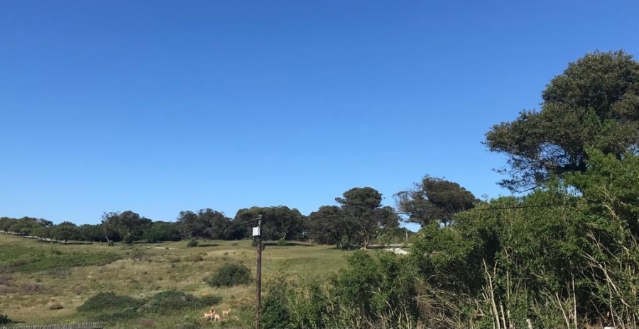 0 Bedroom Property for Sale in Theescombe Eastern Cape